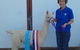 Marchmont Park Alpacas - thumb 0