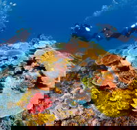 Agincourt Reef - Accommodation QLD