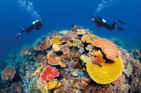 Agincourt Reef - Accommodation QLD 0