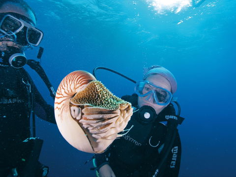 Agincourt Reef - Accommodation QLD 1