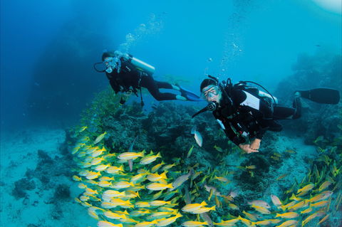 Agincourt Reef - Accommodation QLD 2