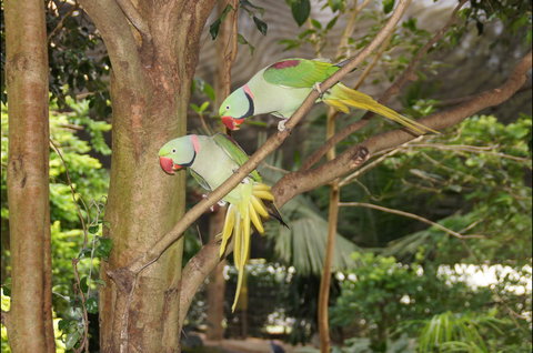 Apple Tree Creek - Accommodation QLD 2