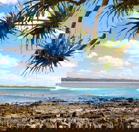 Arrawarra-Corindi Beach - Accommodation QLD