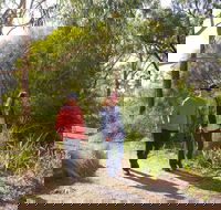 Arthurs Seat Circuit Walk - Accommodation QLD