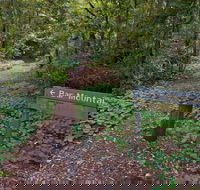 Bar Mountain circuit - Accommodation QLD