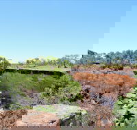 Bladensburg National Park - Accommodation QLD