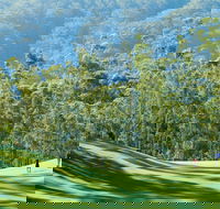 Bonville Golf Resort - Accommodation QLD