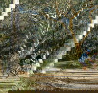 Bundanoon cycling route - Accommodation QLD