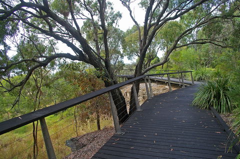 Canoe Point Beach And Parklands - Accommodation QLD 1