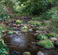 Cascades picnic area - Accommodation QLD