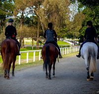 Centennial Stables - Accommodation QLD