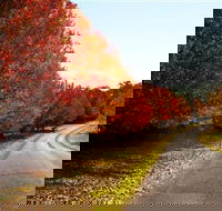 Charles Sturt University Winery - Accommodation QLD