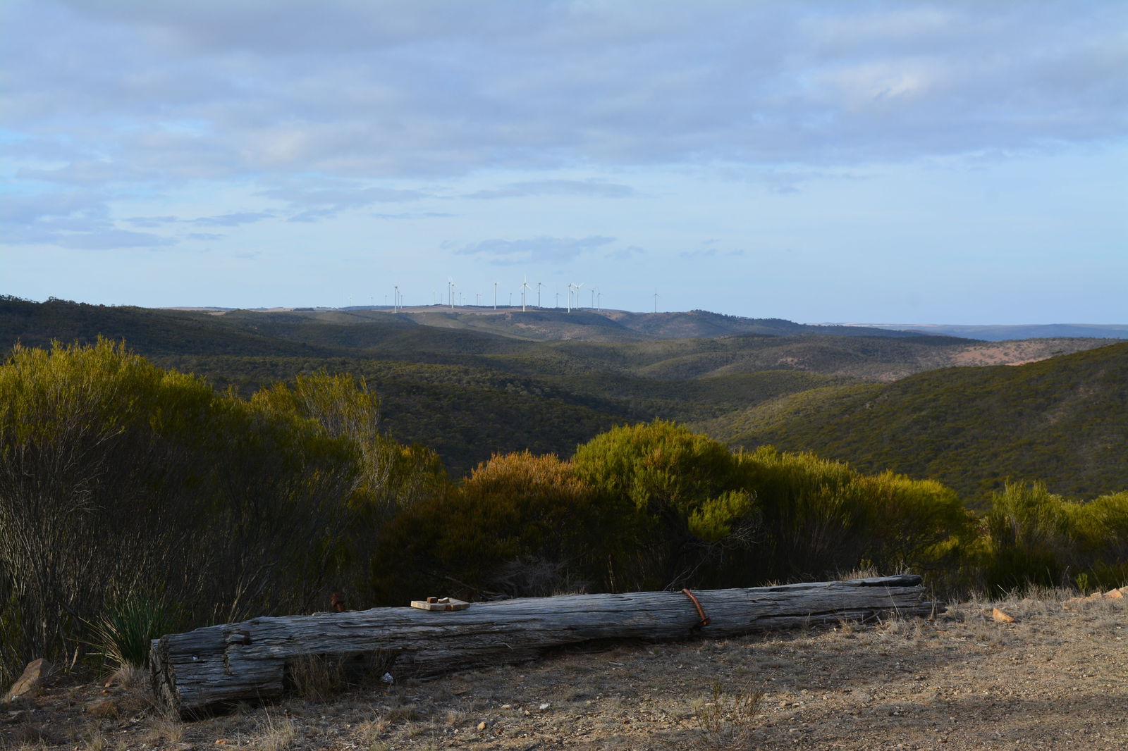 Cleve SA Accommodation QLD