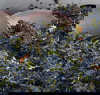 Coldstream - Accommodation QLD