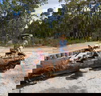 Crooked Brook Forest - Accommodation QLD