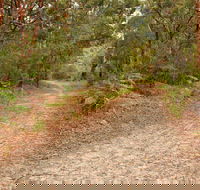 Daleys Point Walking Track - Accommodation QLD