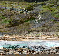 Dammerels History Walk - Accommodation QLD