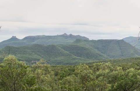 Deriah Aboriginal Information Bay - Accommodation QLD 0