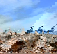 Dirk Hartog Island National Park - Accommodation QLD