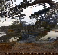 Duck Lagoon - Accommodation QLD