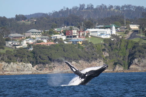Eden - Accommodation QLD 2