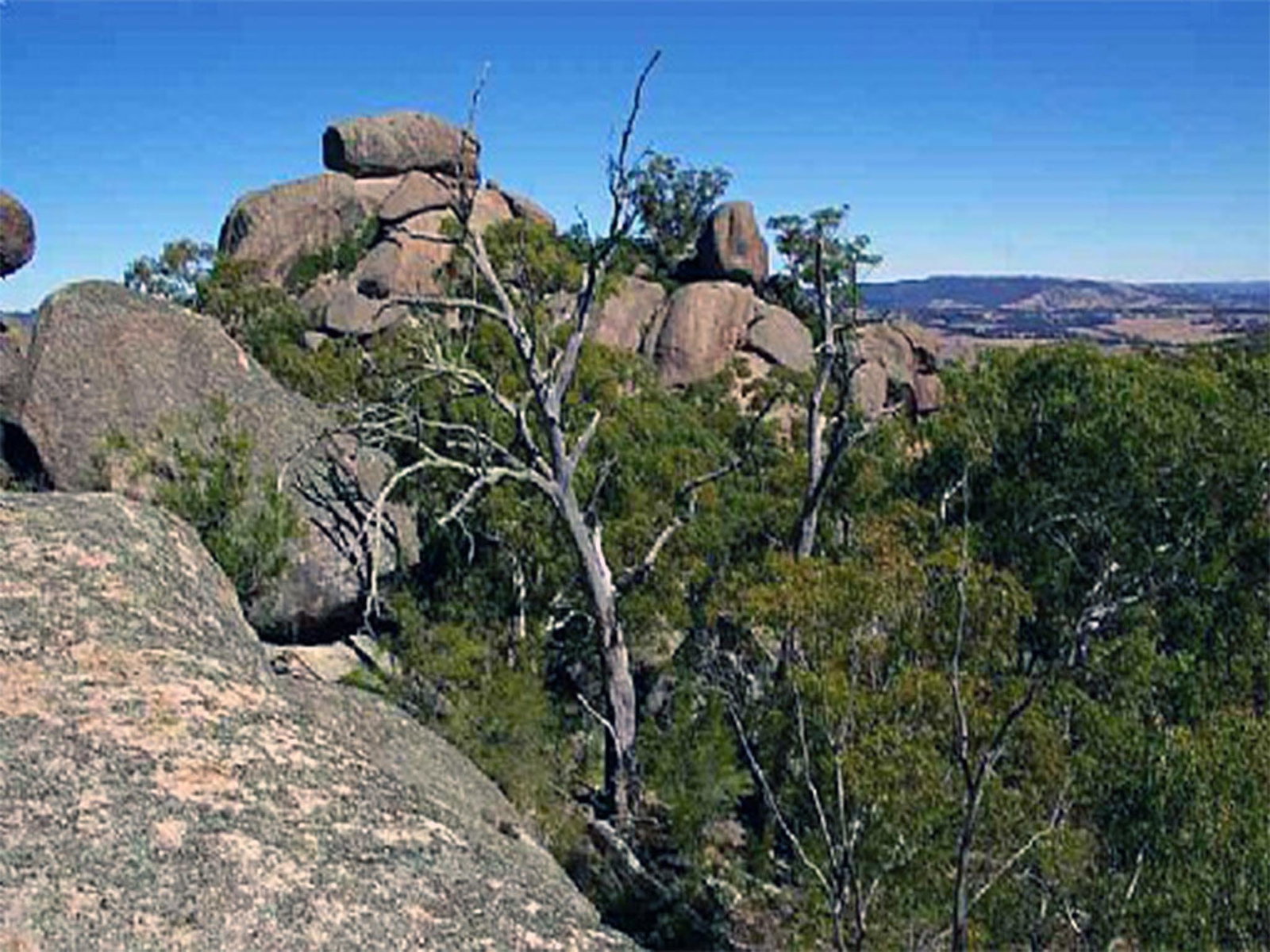 Tarana NSW Accommodation QLD