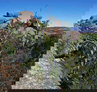 Evans Crown Nature Reserve - Accommodation QLD