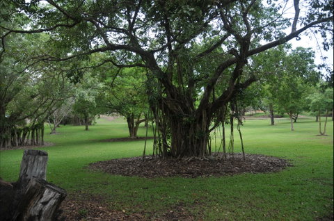 Frog Hollow - Accommodation QLD 1