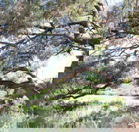 Gathercole Nature Reserve - Accommodation QLD