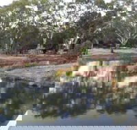 Green Corridor Walking Track - Accommodation QLD