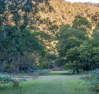 Griffins walking track - Accommodation QLD