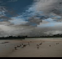Hardwicke Bay - Accommodation QLD
