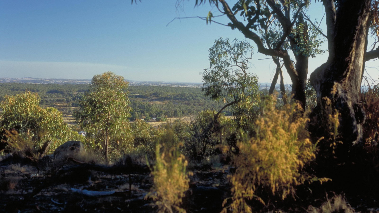 Green Gully VIC Accommodation QLD