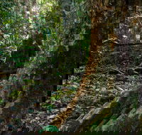 Hidden Treasure Track - Accommodation QLD