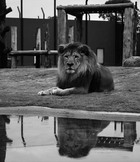 Hunter Valley Zoo - Accommodation QLD 0