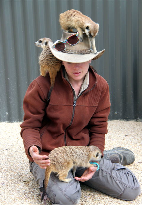 Hunter Valley Zoo - Accommodation QLD 2