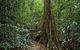 Iluka Nature Reserve - thumb 0