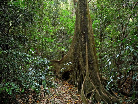 Iluka Nature Reserve - Accommodation QLD 0