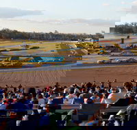 Ipswich Motorsport Precinct - Accommodation QLD