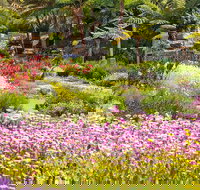 Jurassic Garden AR Experience - Accommodation QLD