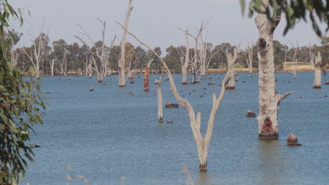 Lake Mulwala - Accommodation QLD 2