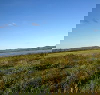 Lakeland - Accommodation QLD