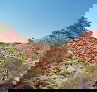 Lark Quarry Conservation Park - Accommodation QLD