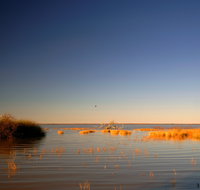 Malkumba-Coongie Lakes National Park - Accommodation QLD