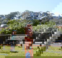 Maryboroughs Bollards - Accommodation QLD
