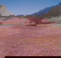 Meekatharra - Accommodation QLD