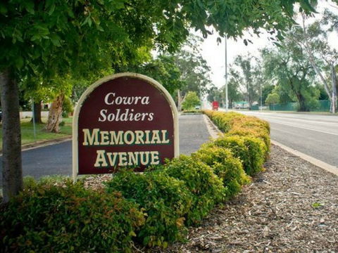 Memorial Avenue In Cowra - Accommodation QLD 0