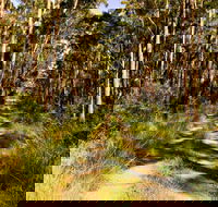 Mining Road Fire Trail Old Gibber Road Rire Trail - Accommodation QLD