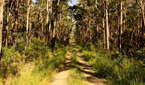 Mining Road Fire Trail, Old Gibber Road Rire Trail - Accommodation QLD 0
