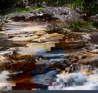 Mothar Mountain Rockpools - Accommodation QLD